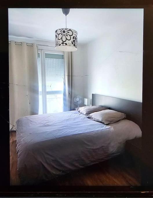 Chez Pascal Sissi -Grand Appart,Ile Nantes, Ccgres Eksteriør billede